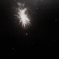 麦星星